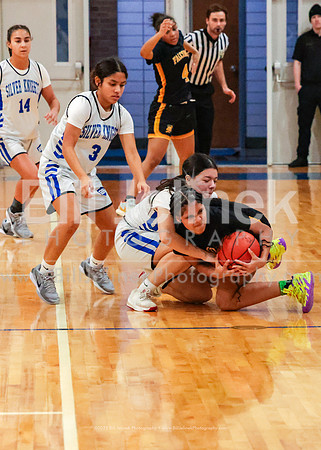 BRHS JV v FHHS, 2/6/25