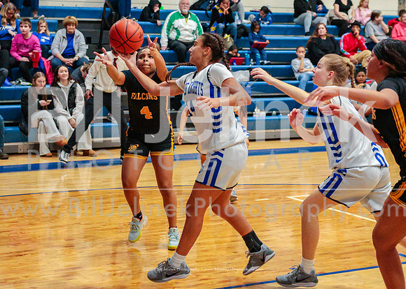 BRHS JV v FHHS, 2/6/25
