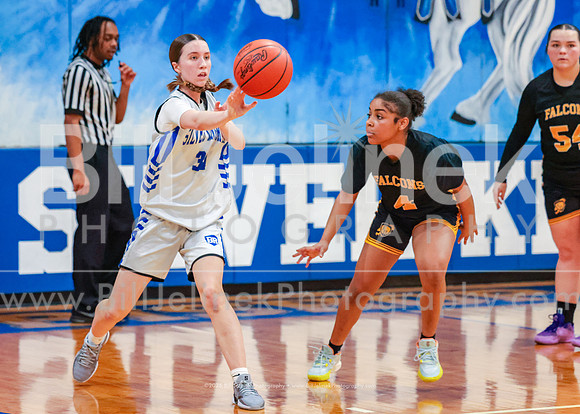 BRHS JV v FHHS, 2/6/25