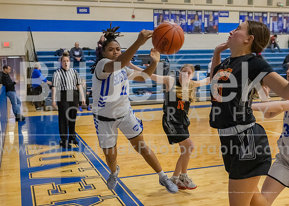 BRHS JV v CSG, 1/7/25