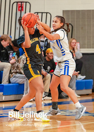 BRHS JV v FHHS, 2/6/25