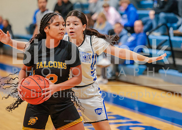 BRHS JV v FHHS, 2/6/25