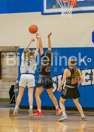 BRHS JV v CSG, 1/7/25