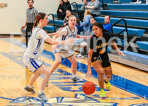 BRHS JV v FHHS, 2/6/25