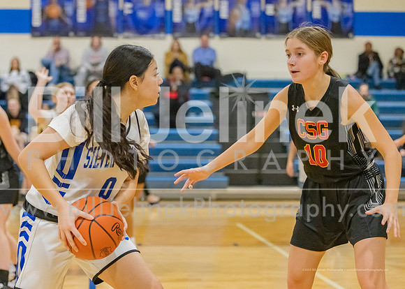 BRHS JV v CSG, 1/7/25