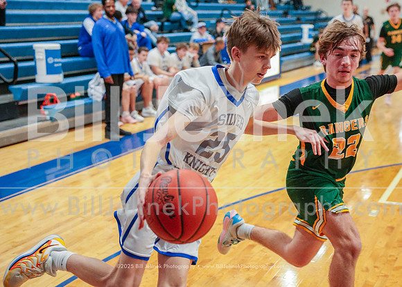BRHS Freshmen v Hamilton Twp HS, 2/7/25