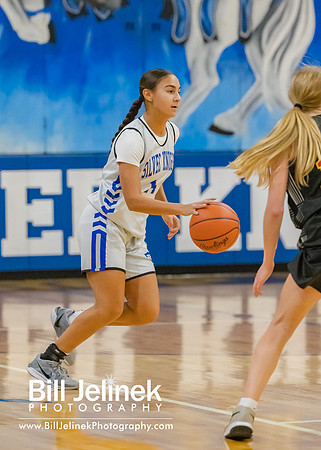 BRHS JV v CSG, 1/7/25