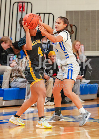 BRHS JV v FHHS, 2/6/25