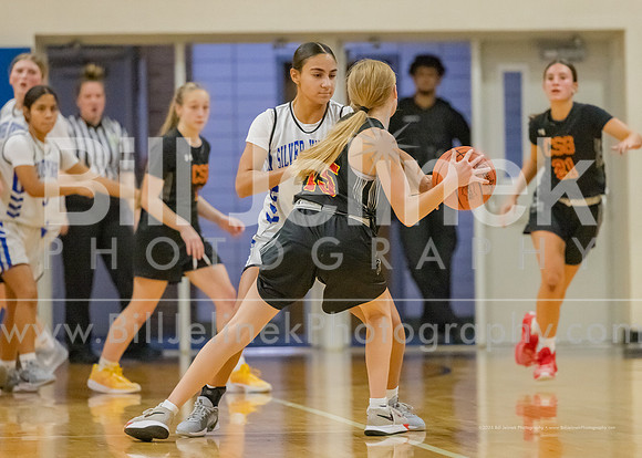 BRHS JV v CSG, 1/7/25
