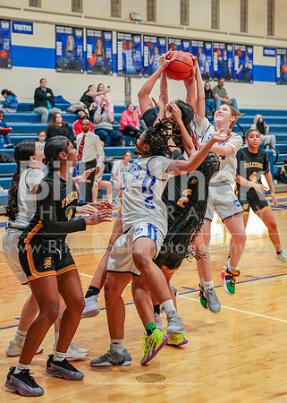 BRHS JV v FHHS, 2/6/25