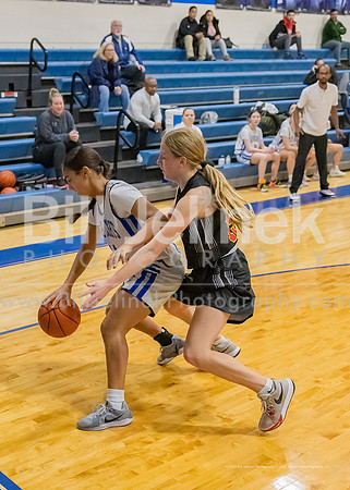 BRHS JV v CSG, 1/7/25