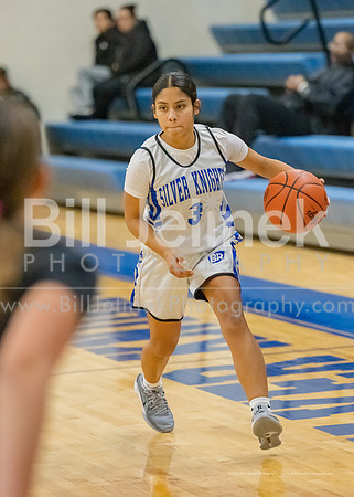 BRHS JV v CSG, 1/7/25