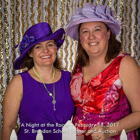 St B Auction_125_20170218 1x1 300dpi Cap