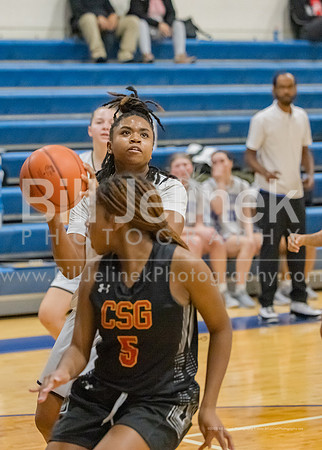 BRHS JV v CSG, 1/7/25