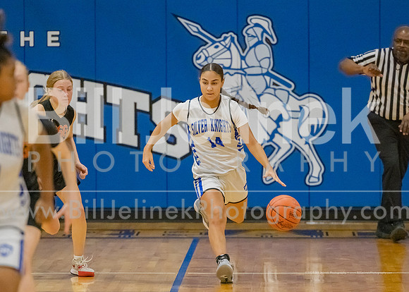 BRHS JV v CSG, 1/7/25