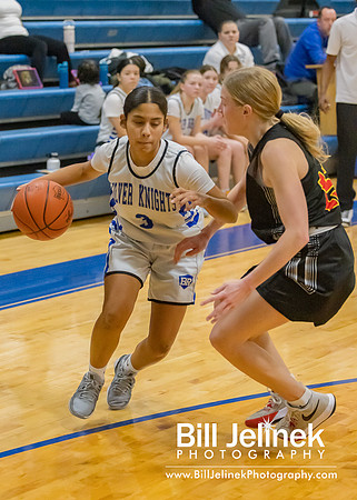 BRHS JV v CSG, 1/7/25