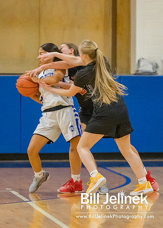 BRHS JV v CSG, 1/7/25