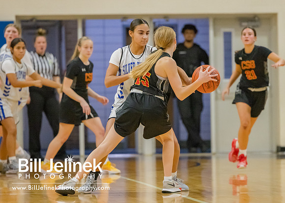 BRHS JV v CSG, 1/7/25