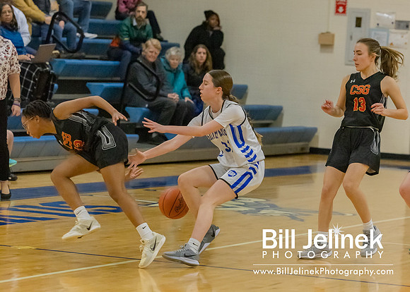 BRHS JV v CSG, 1/7/25