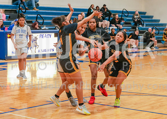 BRHS JV v FHHS, 2/6/25