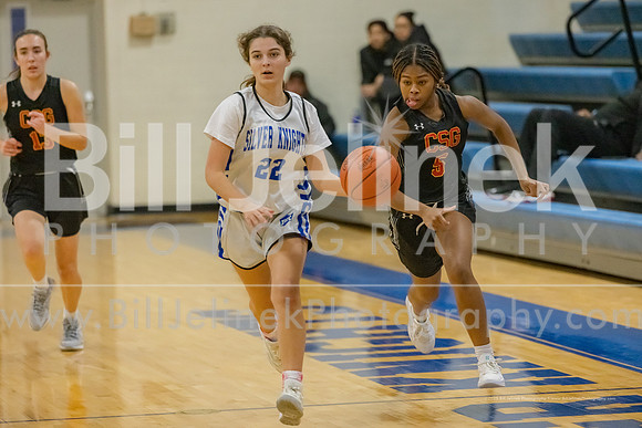 BRHS JV v CSG, 1/7/25