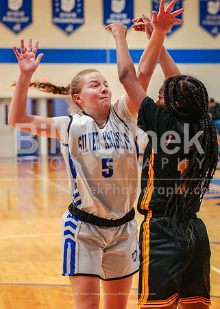 BRHS JV v FHHS, 2/6/25