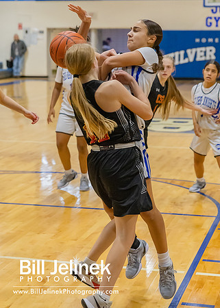 BRHS JV v CSG, 1/7/25
