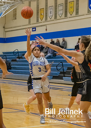 BRHS JV v CSG, 1/7/25