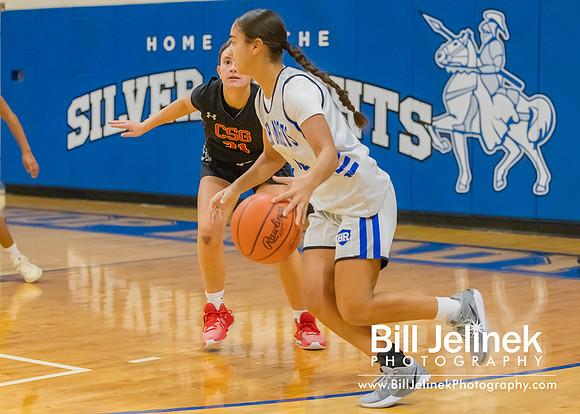 BRHS JV v CSG, 1/7/25