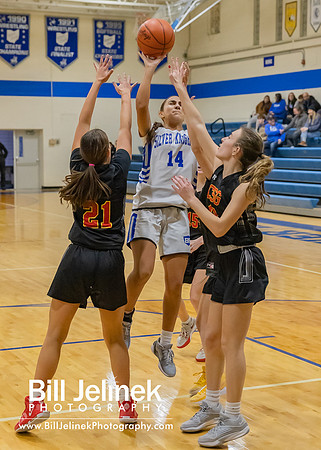 BRHS JV v CSG, 1/7/25