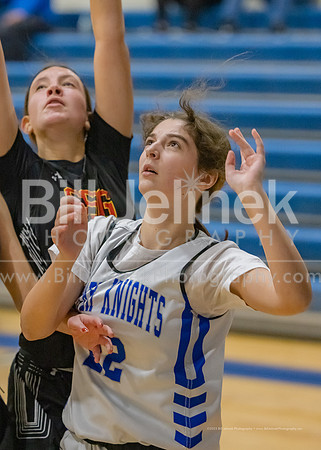 BRHS JV v CSG, 1/7/25