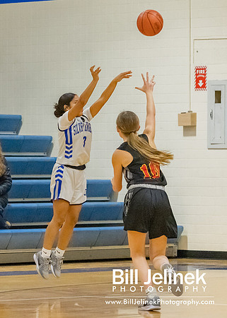 BRHS JV v CSG, 1/7/25