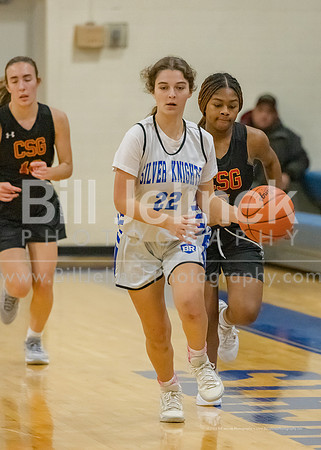BRHS JV v CSG, 1/7/25