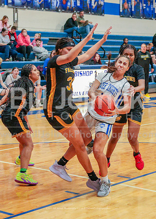 BRHS JV v FHHS, 2/6/25