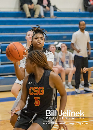BRHS JV v CSG, 1/7/25