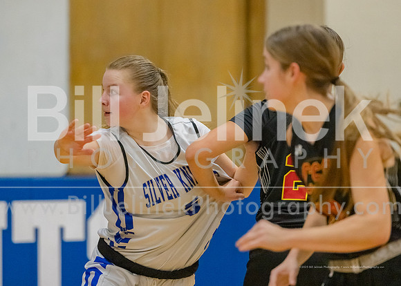 BRHS JV v CSG, 1/7/25