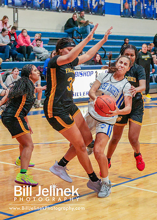 BRHS JV v FHHS, 2/6/25