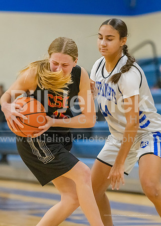 BRHS JV v CSG, 1/7/25