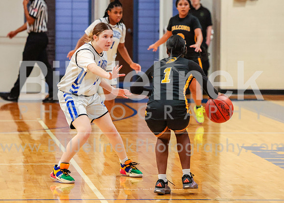 BRHS JV v FHHS, 2/6/25