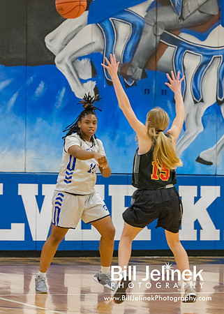 BRHS JV v CSG, 1/7/25
