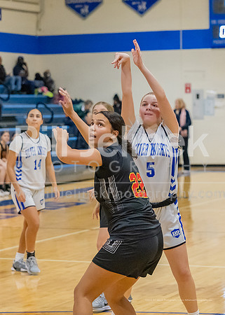 BRHS JV v CSG, 1/7/25