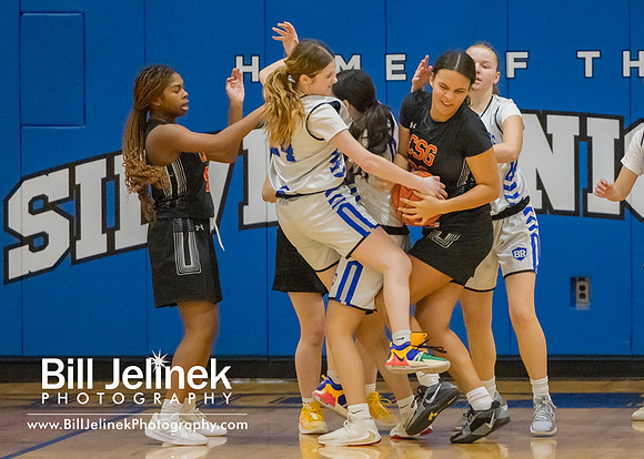 BRHS JV v CSG, 1/7/25