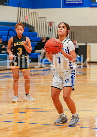 BRHS JV v FHHS, 2/6/25