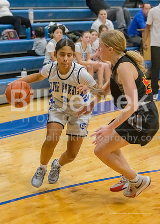 BRHS JV v CSG, 1/7/25