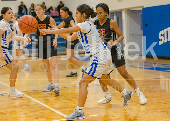 BRHS JV v CSG, 1/7/25