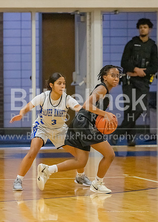 BRHS JV v CSG, 1/7/25