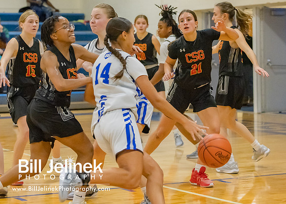 BRHS JV v CSG, 1/7/25