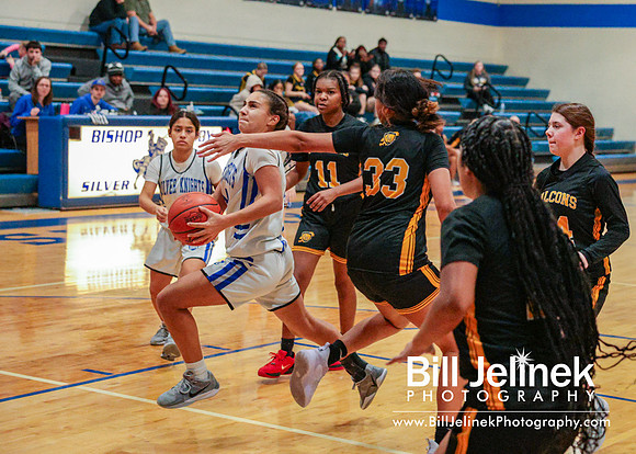 BRHS JV v FHHS, 2/6/25