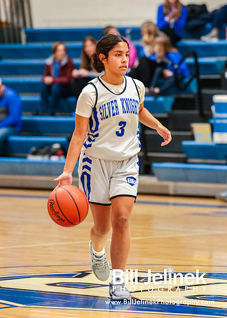 BRHS JV v FHHS, 2/6/25