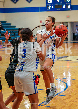 BRHS JV v FHHS, 2/6/25